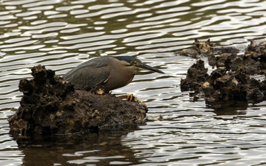 IMG_8164a.jpg